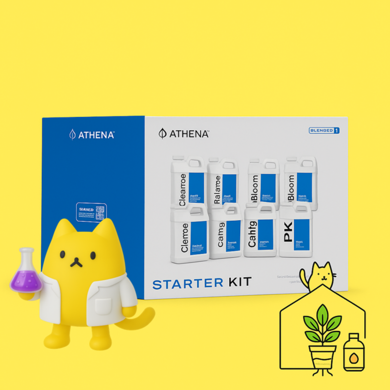 Kit Athena (32 oz. total)