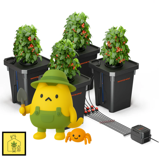 DWC Spider Farmer Hydroponic Growing System