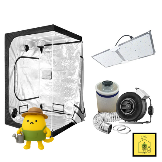 Kit Grow Connoisseur